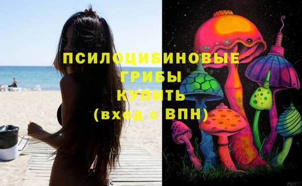 бутират Алексеевка