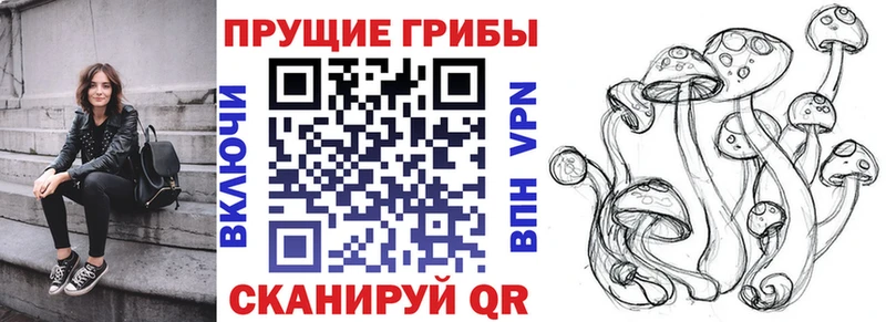 Псилоцибиновые грибы Psilocybine cubensis  Макушино 